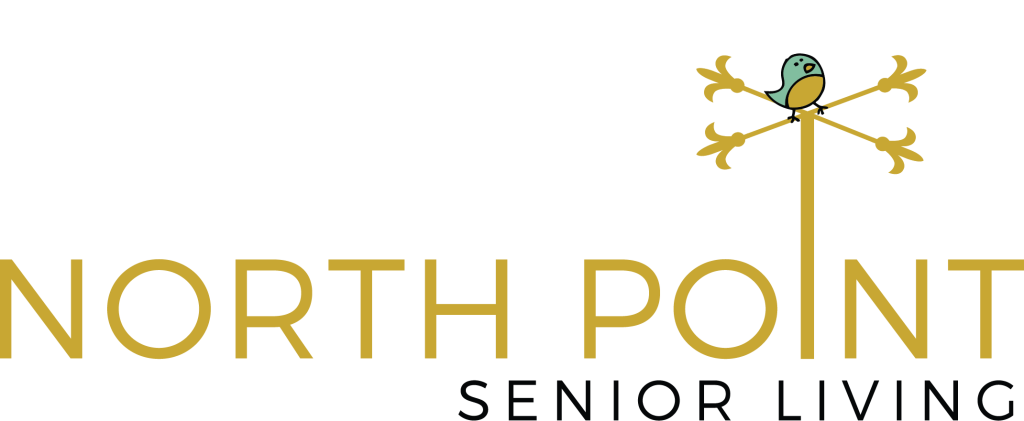 North Point Logo Color