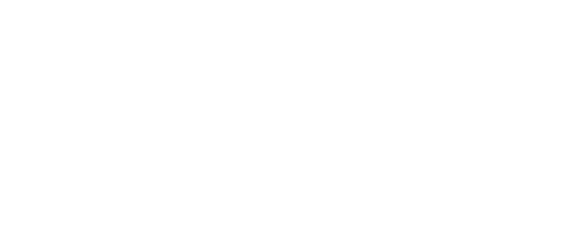 North Point Logo White